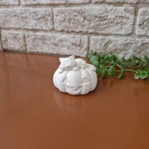 قالب سیلیکونی کدو گربهای